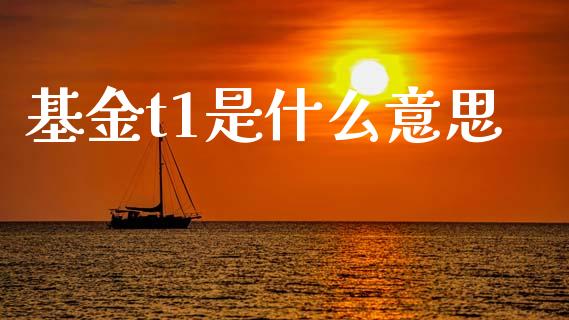 基金t1是什么意思_https://wap.jnlaobingbanjia.com_证券公告_第1张