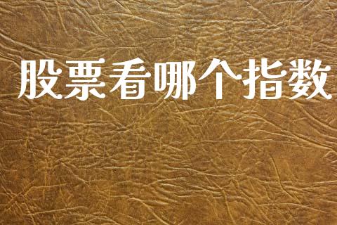 股票看哪个指数_https://wap.jnlaobingbanjia.com_证券公告_第1张