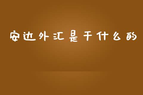 安达外汇是干什么的_https://wap.jnlaobingbanjia.com_金融理财_第1张