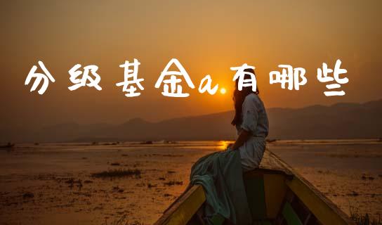 分级基金a有哪些_https://wap.jnlaobingbanjia.com_财经资讯_第1张