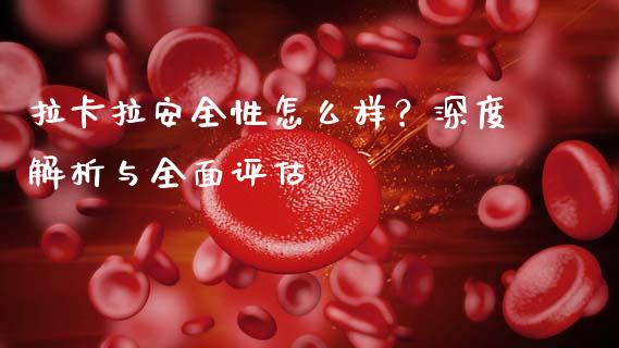 拉卡拉安全性怎么样？深度解析与全面评估_https://wap.jnlaobingbanjia.com_证券公告_第1张