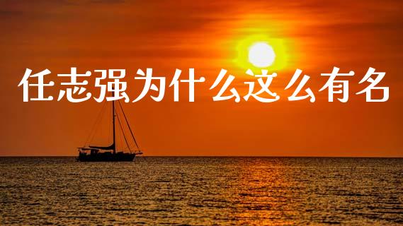 任志强为什么这么有名_https://wap.jnlaobingbanjia.com_基金分析_第1张