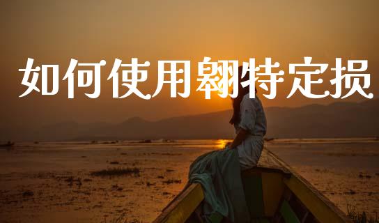 如何使用翱特定损_https://wap.jnlaobingbanjia.com_财务管理_第1张