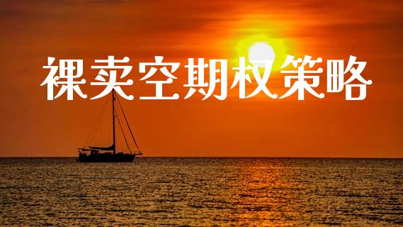 裸卖空期权策略_https://wap.jnlaobingbanjia.com_基金分析_第1张
