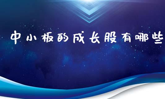 中小板的成长股有哪些_https://wap.jnlaobingbanjia.com_金融理财_第1张