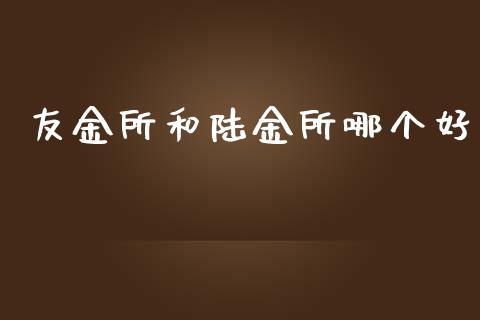 友金所和陆金所哪个好_https://wap.jnlaobingbanjia.com_财务管理_第1张