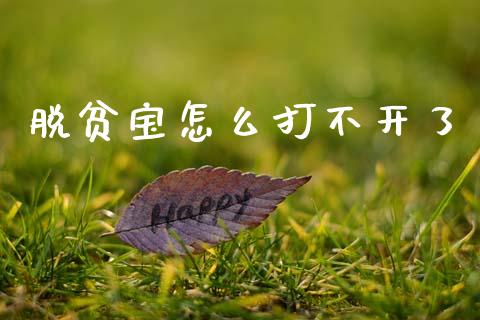 脱贫宝怎么打不开了_https://wap.jnlaobingbanjia.com_股市行情_第1张