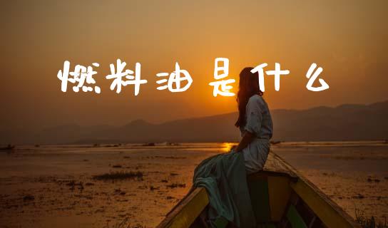 燃料油是什么_https://wap.jnlaobingbanjia.com_金融理财_第1张