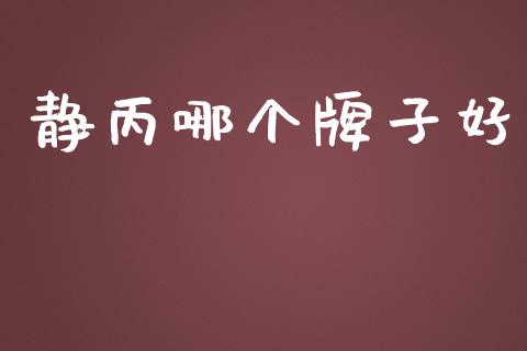 静丙哪个牌子好_https://wap.jnlaobingbanjia.com_基金分析_第1张