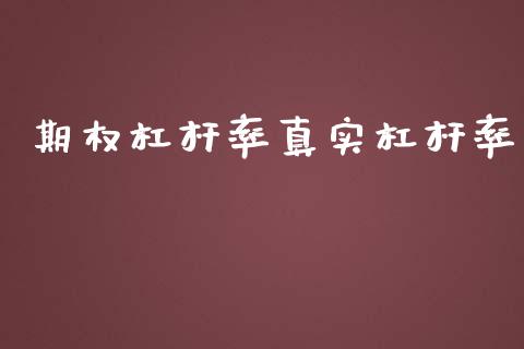 期权杠杆率真实杠杆率_https://wap.jnlaobingbanjia.com_财经资讯_第1张