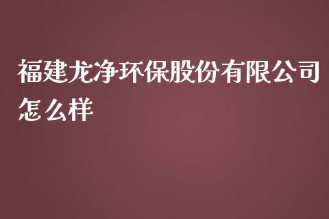 福建龙净环保股份有限公司怎么样_https://wap.jnlaobingbanjia.com_基金分析_第1张