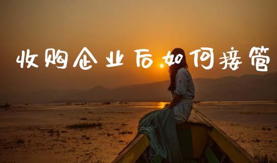 收购企业后如何接管_https://wap.jnlaobingbanjia.com_财务管理_第1张