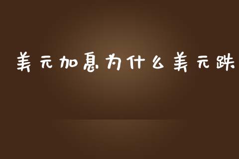 美元加息为什么美元跌_https://wap.jnlaobingbanjia.com_金融理财_第1张