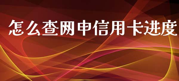 怎么查网申信用卡进度_https://wap.jnlaobingbanjia.com_基金分析_第1张