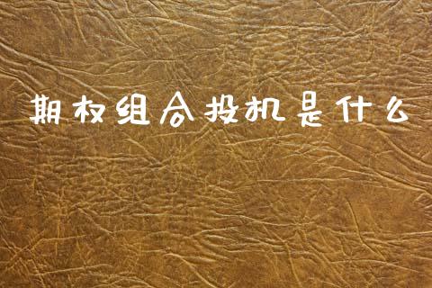 期权组合投机是什么_股市行情_第1张_财经资讯_股市行情_财务管理_金融理财 期权组合投机是什么_https://wap.jnlaobingbanjia.com_股市行情_第1张