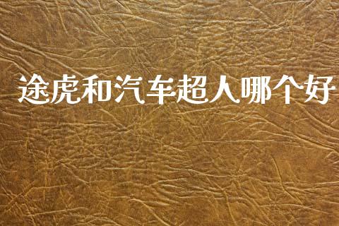 途虎和汽车超人哪个好_https://wap.jnlaobingbanjia.com_财务管理_第1张