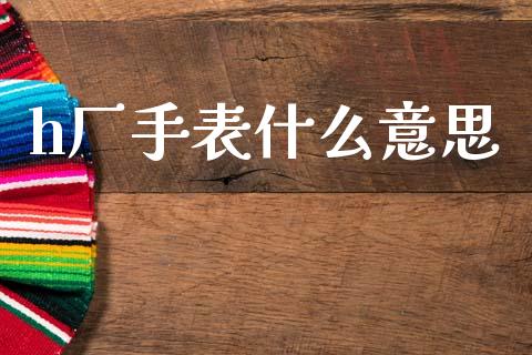 h厂手表什么意思_https://wap.jnlaobingbanjia.com_财务管理_第1张