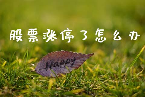 股票涨停了怎么办_https://wap.jnlaobingbanjia.com_证券公告_第1张