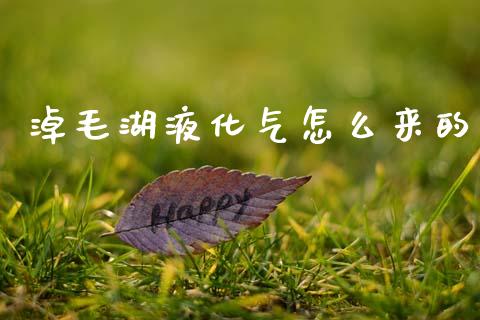 淖毛湖液化气怎么来的_https://wap.jnlaobingbanjia.com_财务管理_第1张