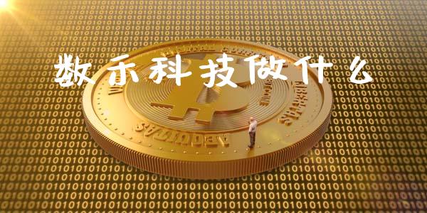 数禾科技做什么_https://wap.jnlaobingbanjia.com_股市行情_第1张