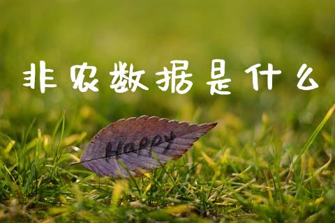 非农数据是什么_https://wap.jnlaobingbanjia.com_财务管理_第1张