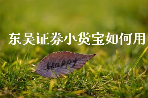 东吴证券小货宝如何用_https://wap.jnlaobingbanjia.com_基金分析_第1张