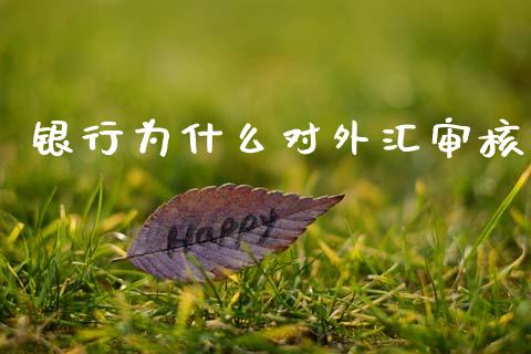 银行为什么对外汇审核_https://wap.jnlaobingbanjia.com_基金分析_第1张