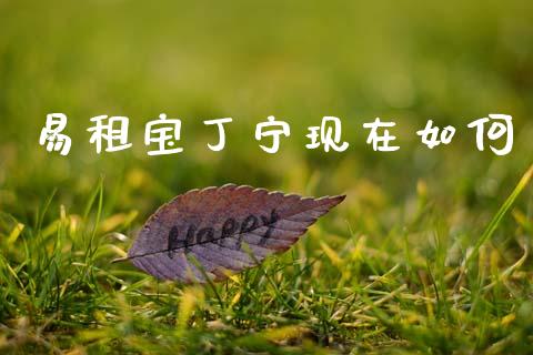 易租宝丁宁现在如何_https://wap.jnlaobingbanjia.com_财务管理_第1张