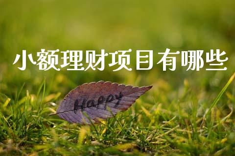 小额理财项目有哪些_https://wap.jnlaobingbanjia.com_证券公告_第1张