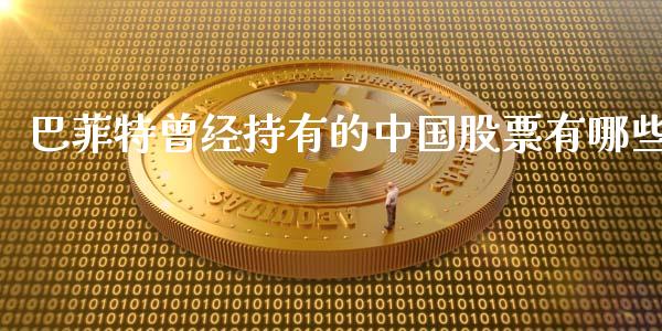 巴菲特曾经持有的中国股票有哪些_https://wap.jnlaobingbanjia.com_财务管理_第1张
