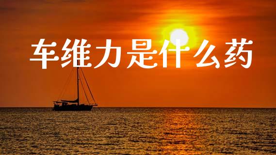 车维力是什么药_https://wap.jnlaobingbanjia.com_证券公告_第1张