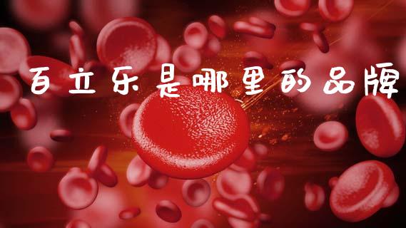 百立乐是哪里的品牌_https://wap.jnlaobingbanjia.com_财务管理_第1张