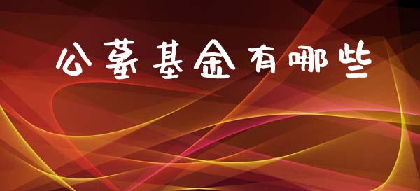 公墓基金有哪些_https://wap.jnlaobingbanjia.com_财经资讯_第1张