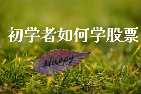 初学者如何学股票_https://wap.jnlaobingbanjia.com_股市行情_第1张