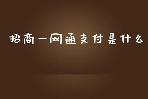 招商一网通支付是什么_https://wap.jnlaobingbanjia.com_证券公告_第1张