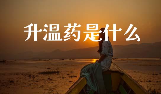 升温药是什么_https://wap.jnlaobingbanjia.com_财务管理_第1张