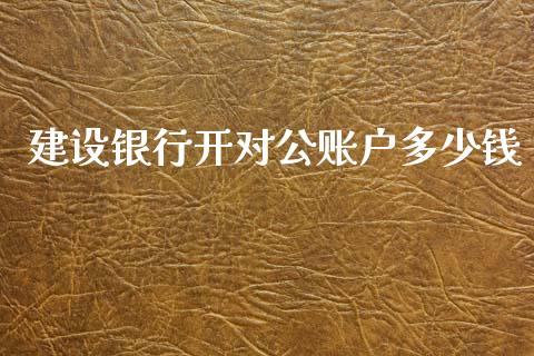 建设银行开对公账户多少钱_https://wap.jnlaobingbanjia.com_股市行情_第1张