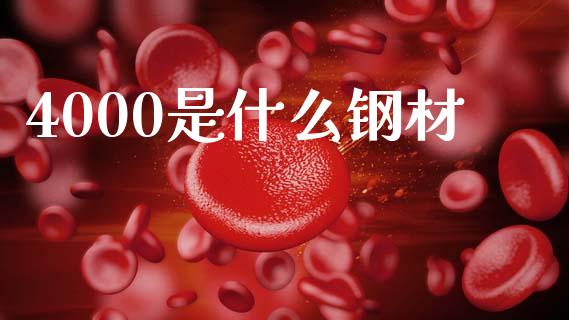 4000是什么钢材_https://wap.jnlaobingbanjia.com_财经资讯_第1张