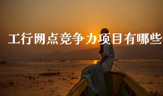 工行网点竞争力项目有哪些_https://wap.jnlaobingbanjia.com_证券公告_第1张