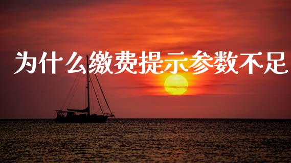 为什么缴费提示参数不足_https://wap.jnlaobingbanjia.com_金融理财_第1张