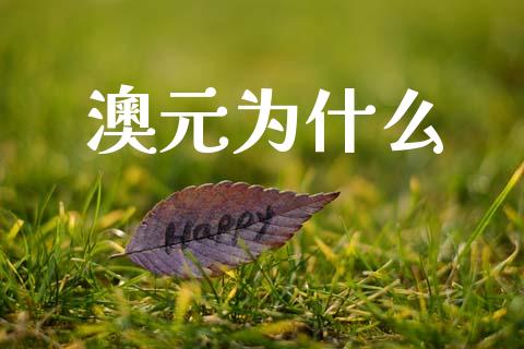 澳元为什么_https://wap.jnlaobingbanjia.com_基金分析_第1张