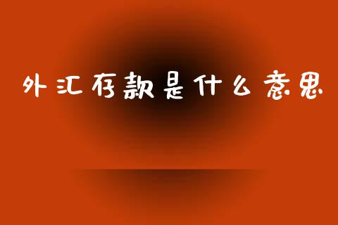 外汇存款是什么意思_https://wap.jnlaobingbanjia.com_财务管理_第1张