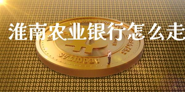 淮南农业银行怎么走_https://wap.jnlaobingbanjia.com_财务管理_第1张