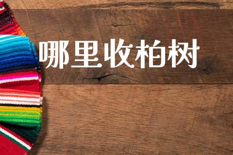 哪里收柏树_https://wap.jnlaobingbanjia.com_证券公告_第1张