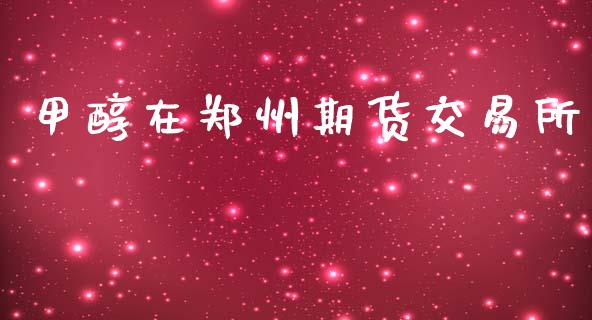 甲醇在郑州期货交易所_https://wap.jnlaobingbanjia.com_财务管理_第1张
