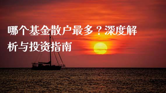 哪个基金散户最多？深度解析与投资指南_https://wap.jnlaobingbanjia.com_财经资讯_第1张