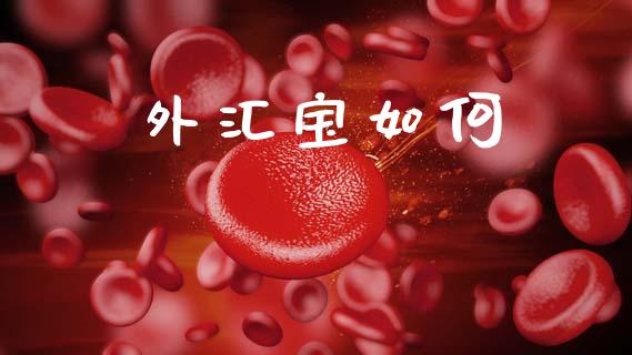 外汇宝如何_https://wap.jnlaobingbanjia.com_金融理财_第1张