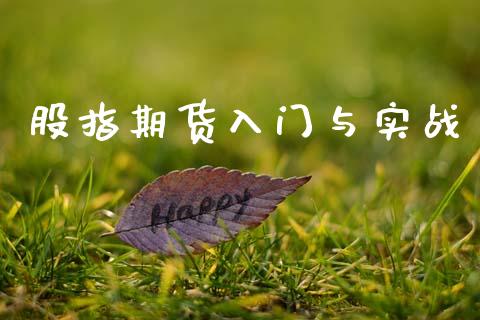 股指期货入门与实战_https://wap.jnlaobingbanjia.com_金融理财_第1张