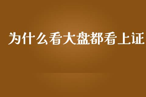为什么看大盘都看上证_https://wap.jnlaobingbanjia.com_股市行情_第1张