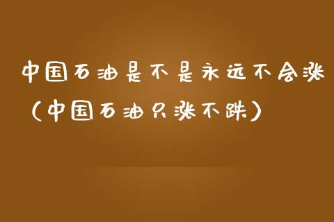 中国石油是不是永远不会涨（中国石油只涨不跌）_https://wap.jnlaobingbanjia.com_财经资讯_第1张